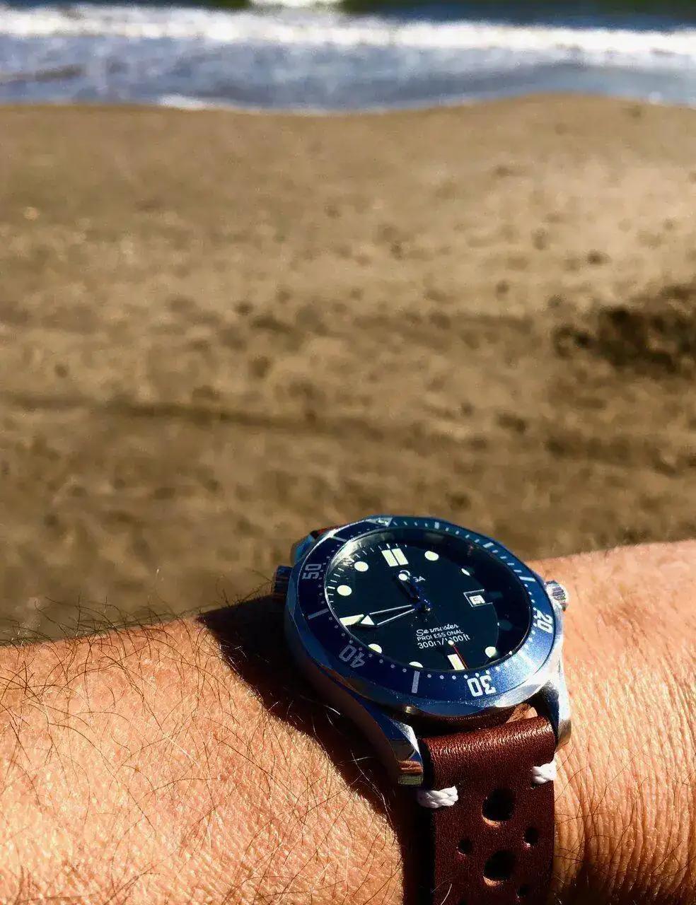 Seamaster cuero.webp