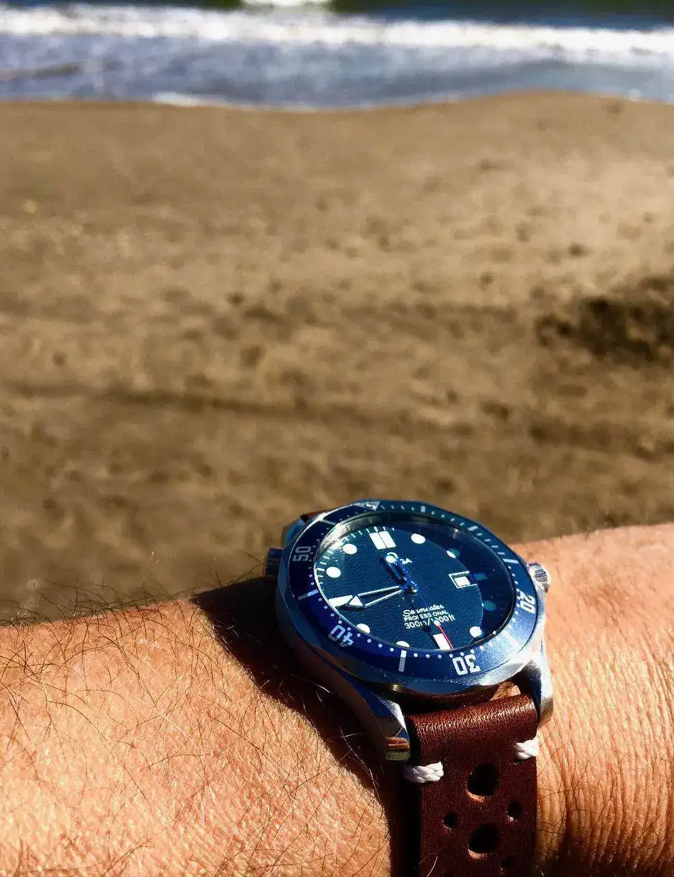 Seamaster cuero .webp