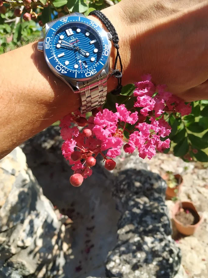 seamaster.webp