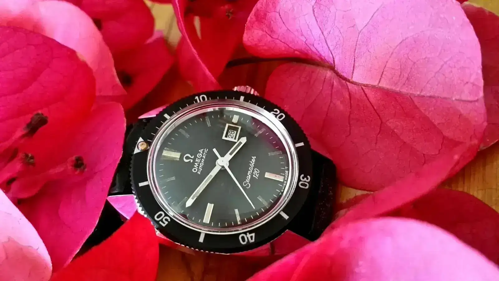 seamaster.webp