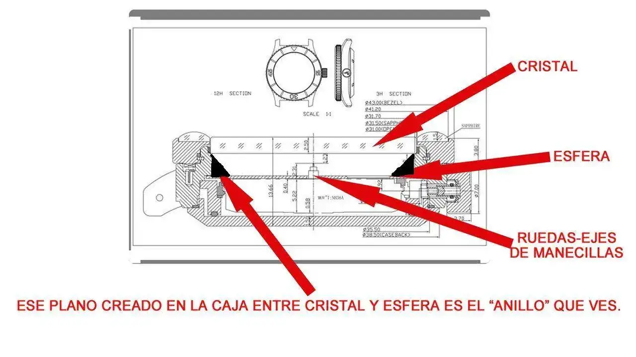 Sección reloj.webp