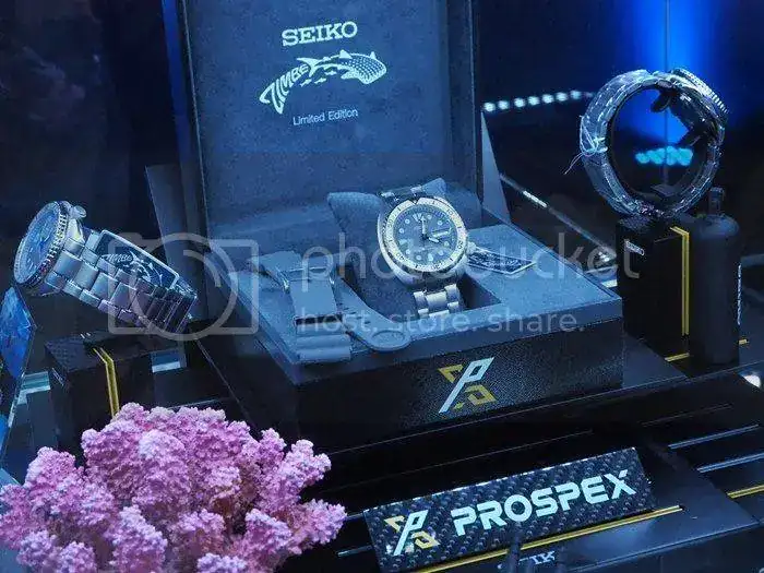 Seiko-2.webp