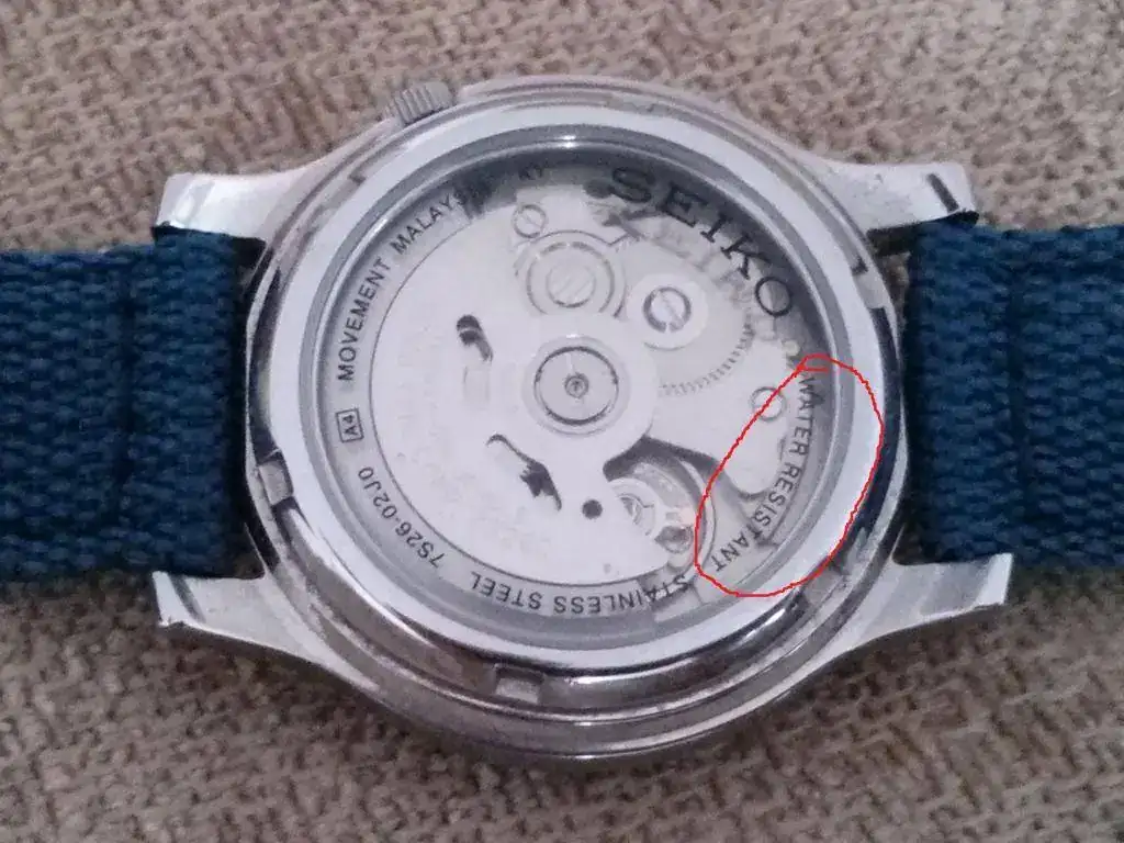 seiko 5.webp