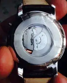 Seiko 5.webp