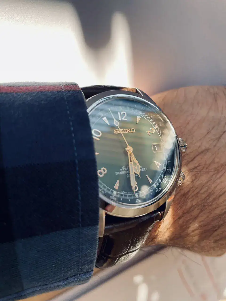 Seiko Alpinist1.webp