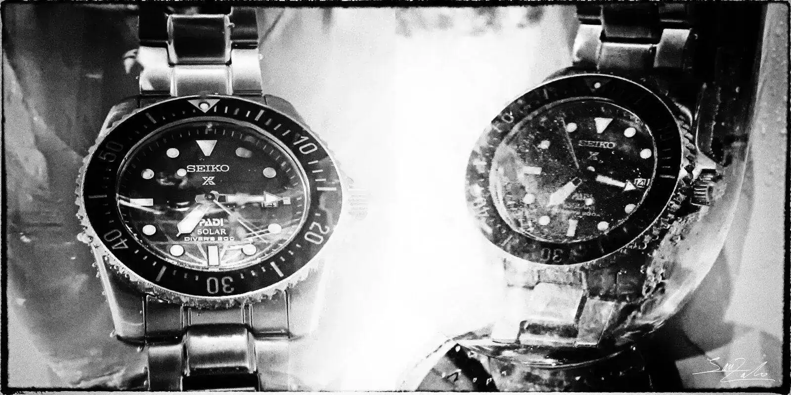 seiko-bn.webp