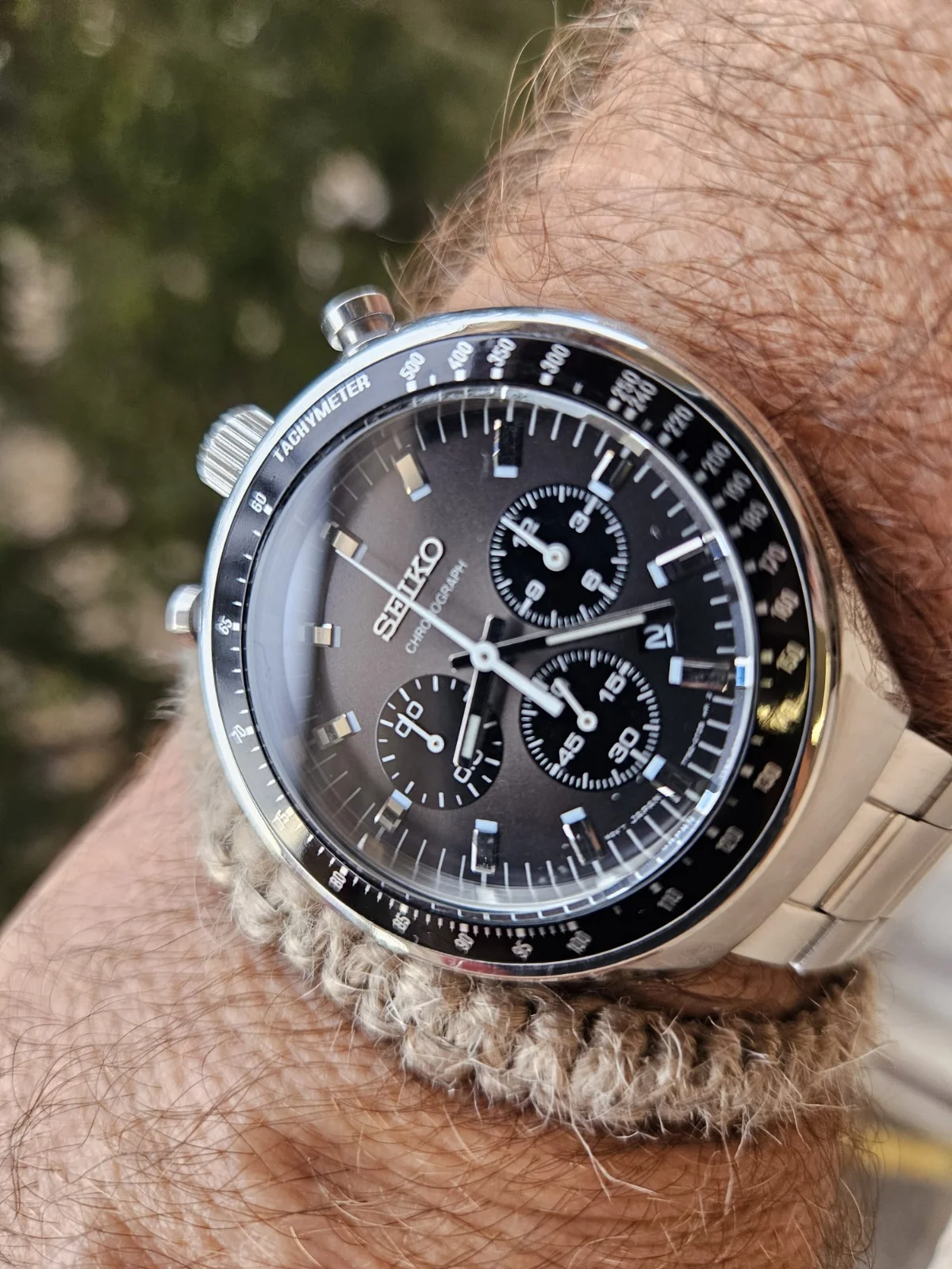 Seiko bullhead.webp