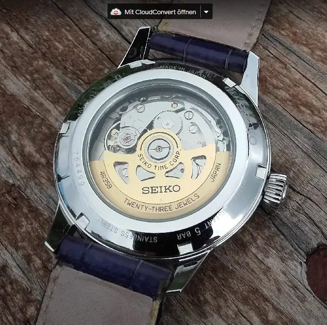 Seiko-cuero-back.webp