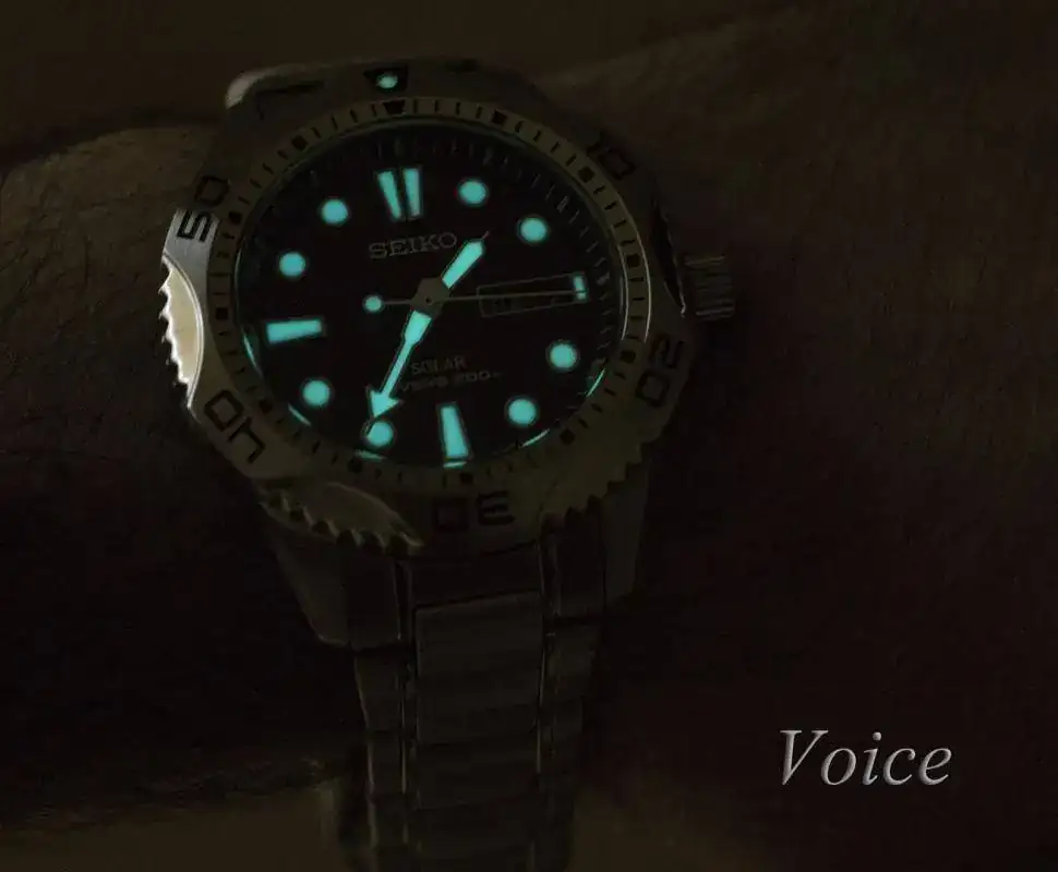 Seiko Diver 6.webp