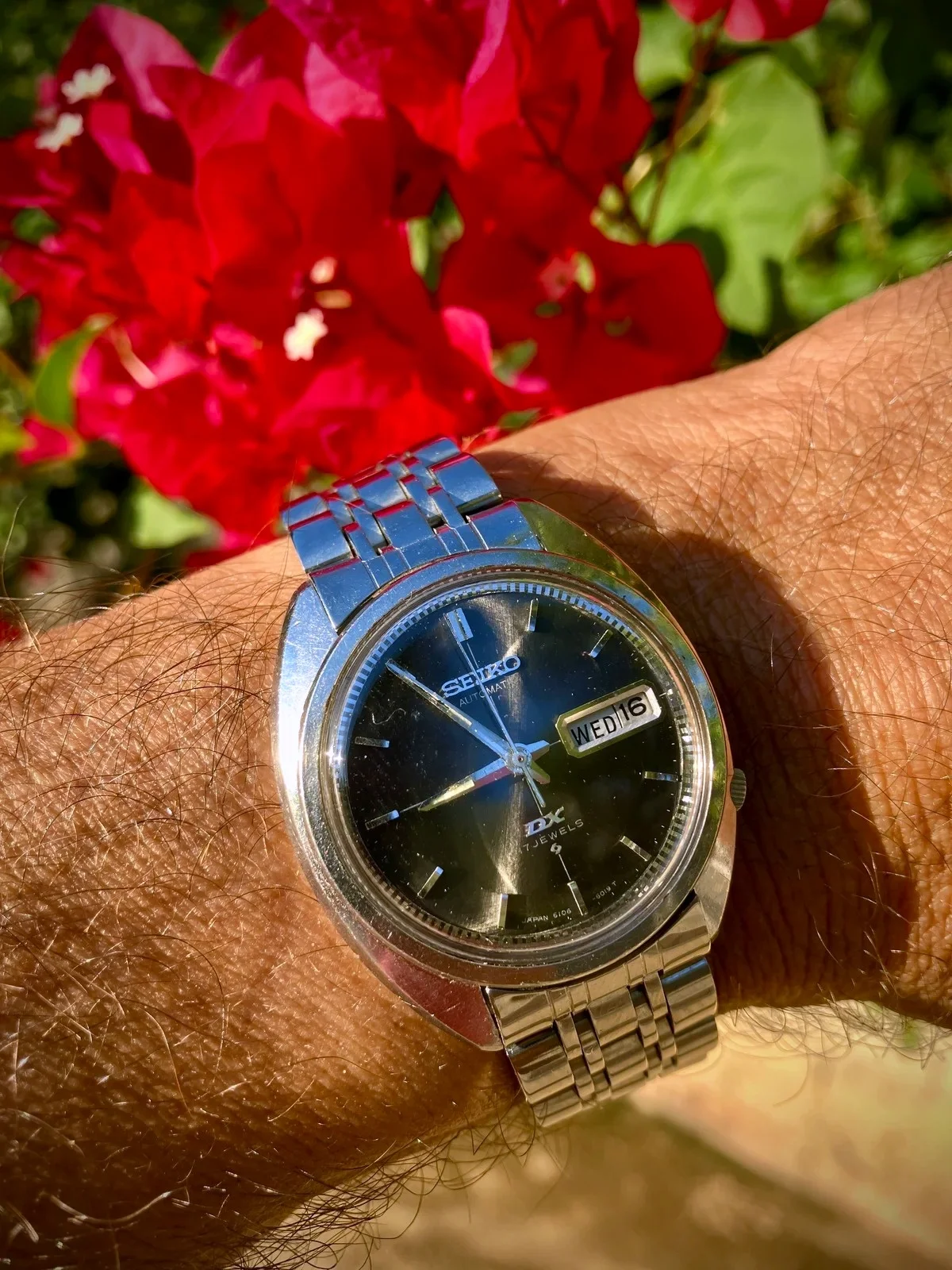 Seiko DX.webp