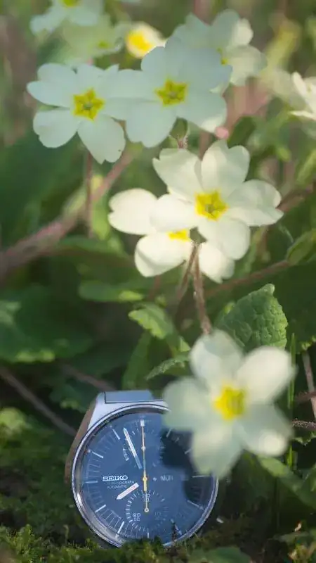 seiko kronoak4.webp