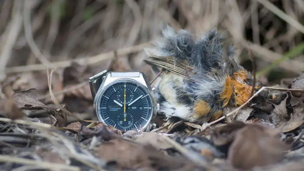 seiko kronoak6.webp