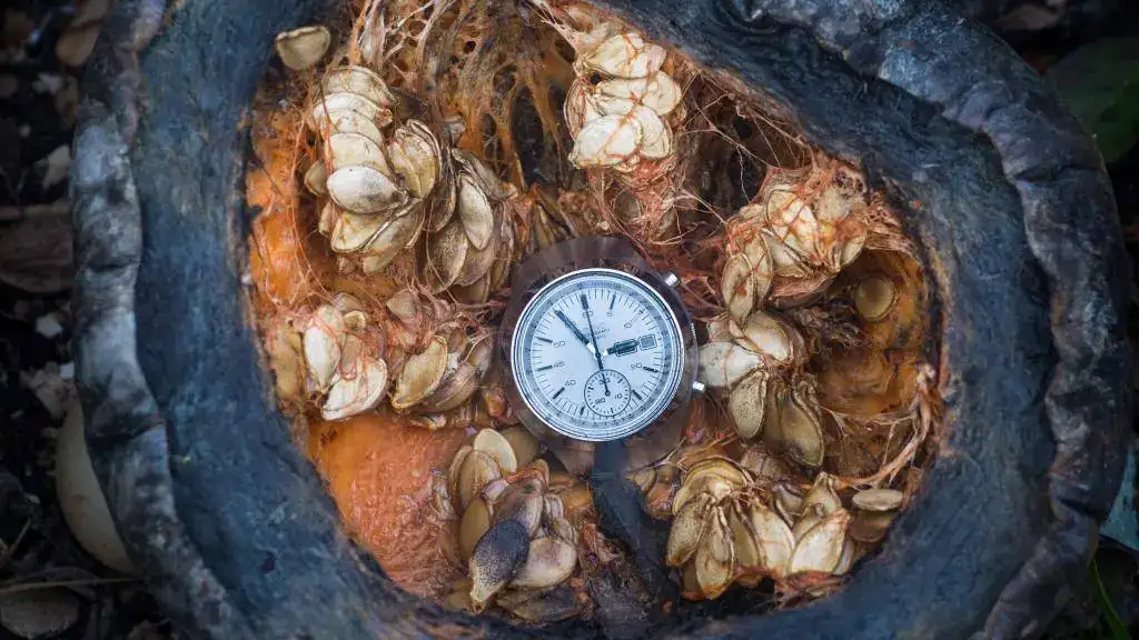 seiko kronoak9.webp