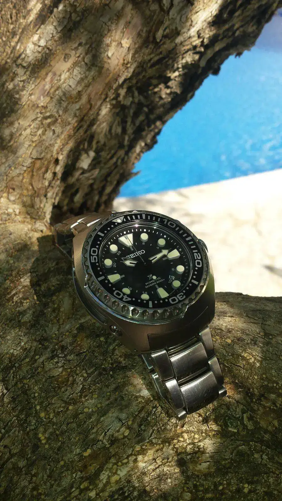 SEIKO PROSPEX ARBOL.webp