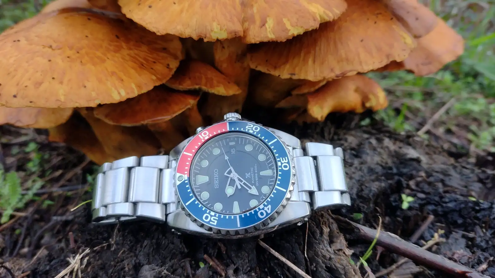 Seiko SKA369P1_16 (6).webp