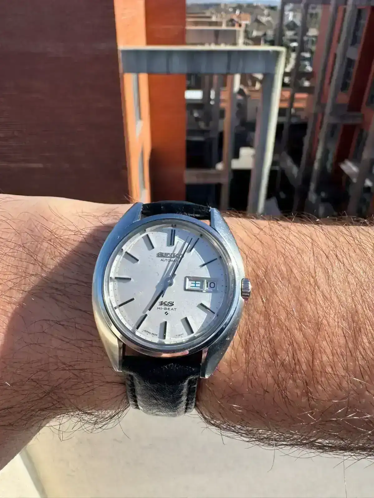 seiko terraza.webp