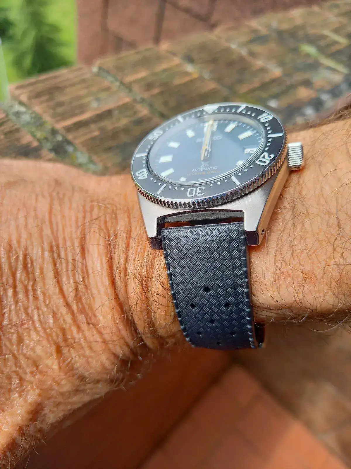 Seiko Tropic.webp