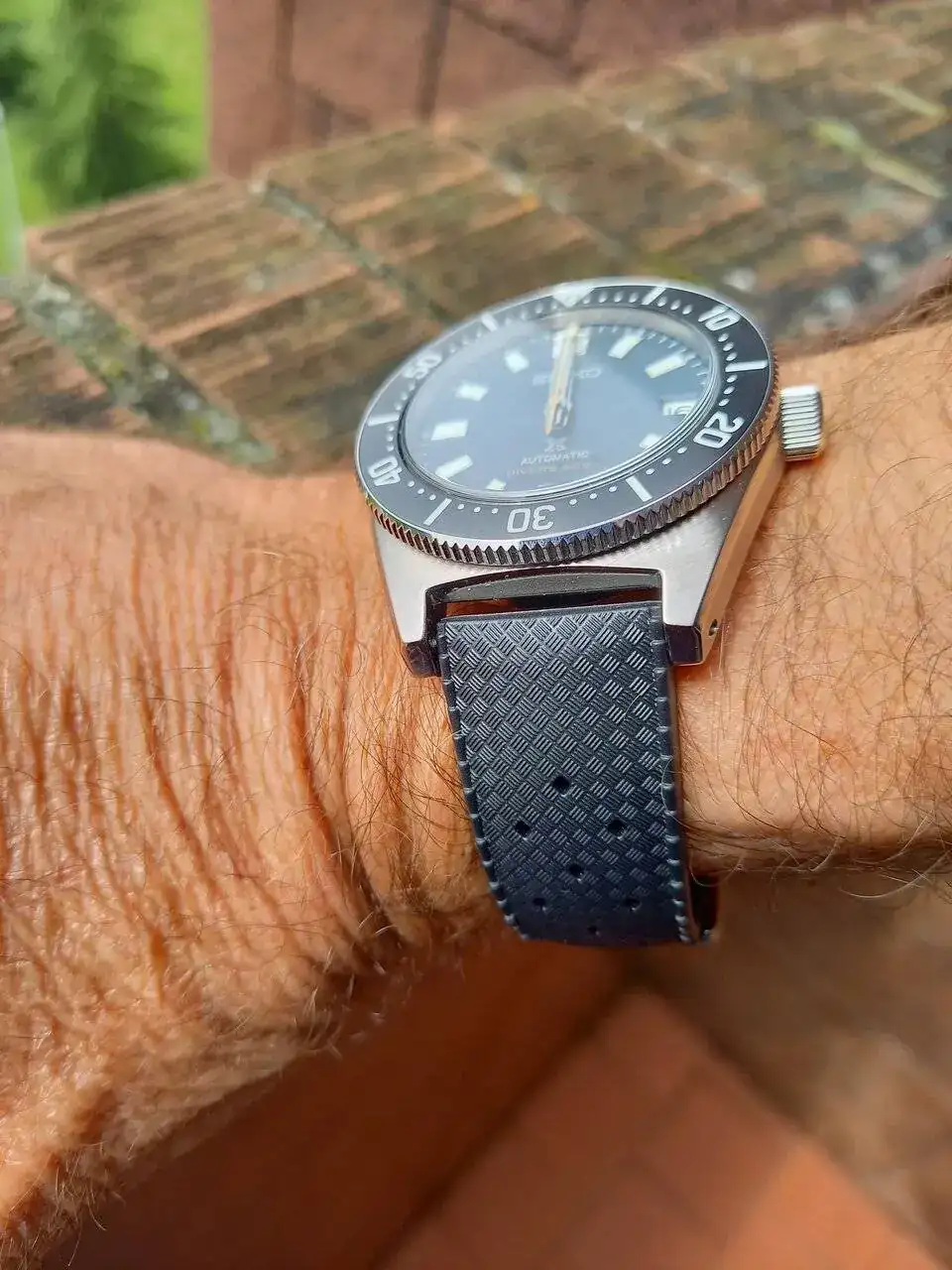 Seiko Tropic.webp
