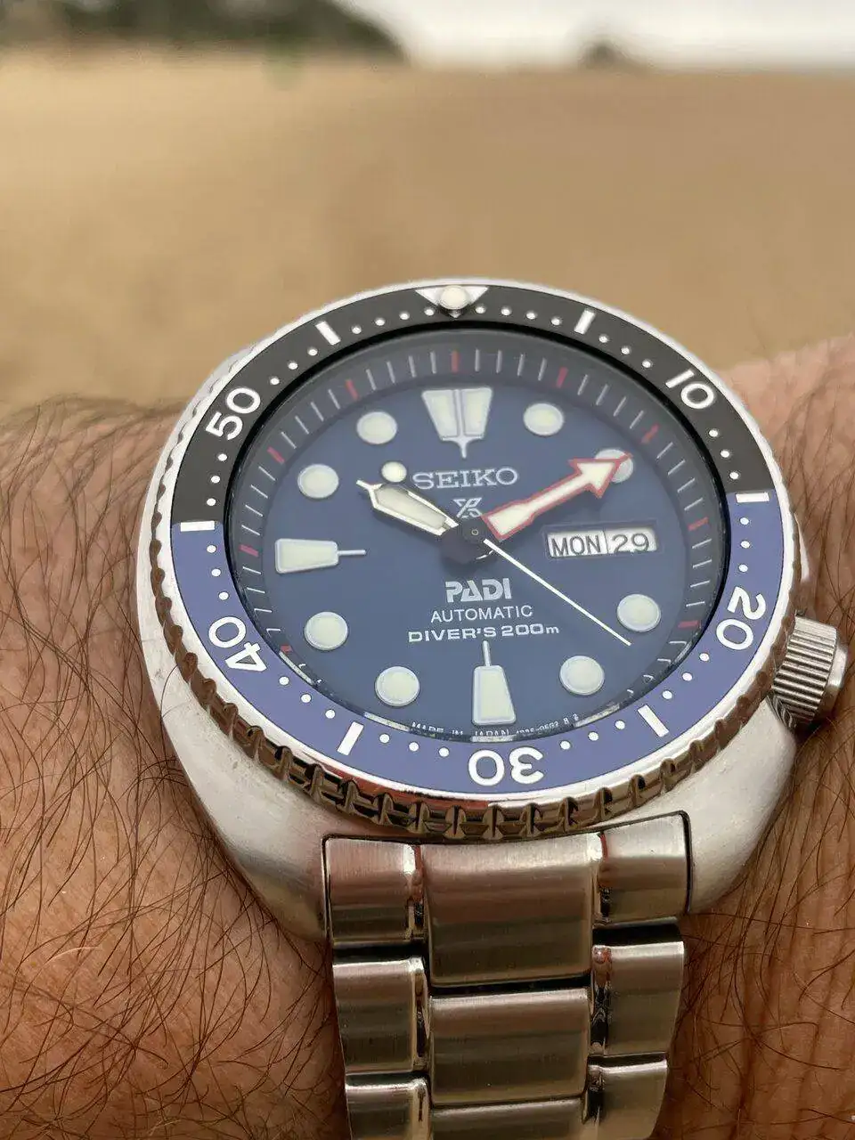 Seiko Turtle.jpg