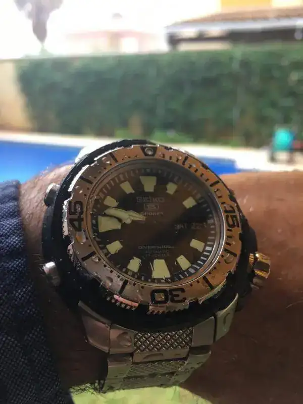 Seiko.webp