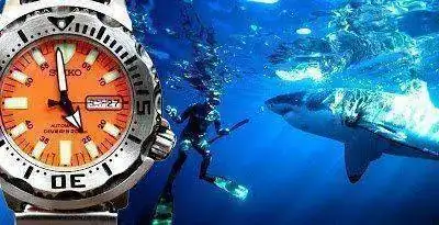 seiko_orange_monster_23.webp