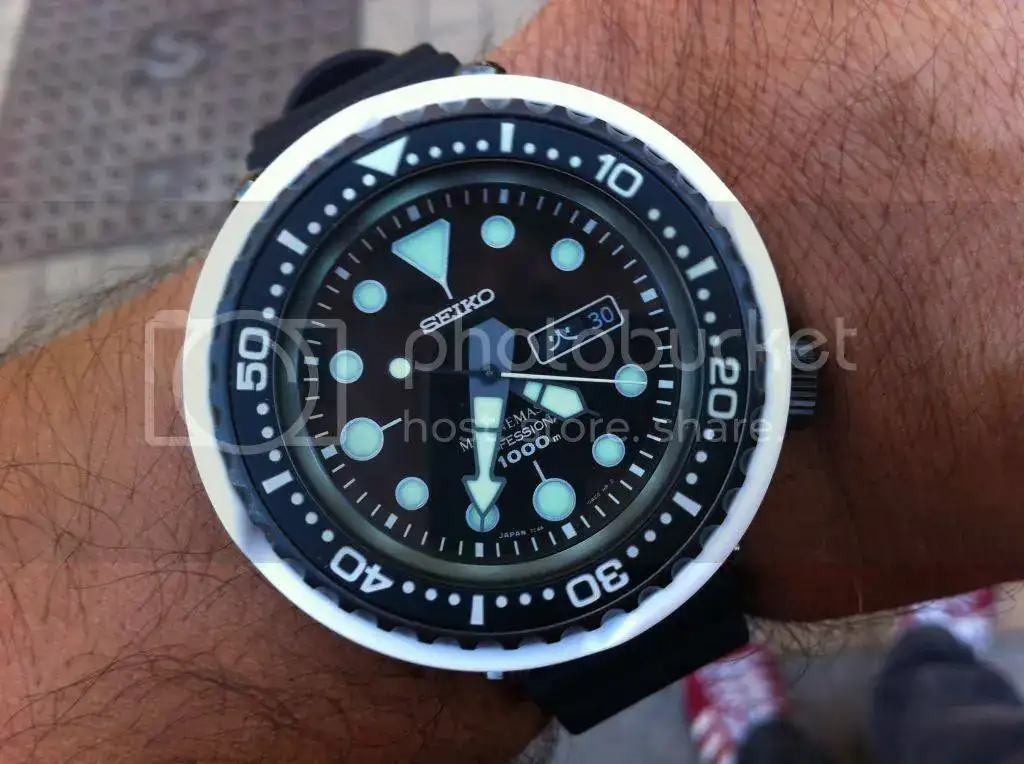 seikodelfin_zpsac6f2b55.webp
