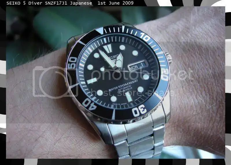 seikodiverwristshot.webp
