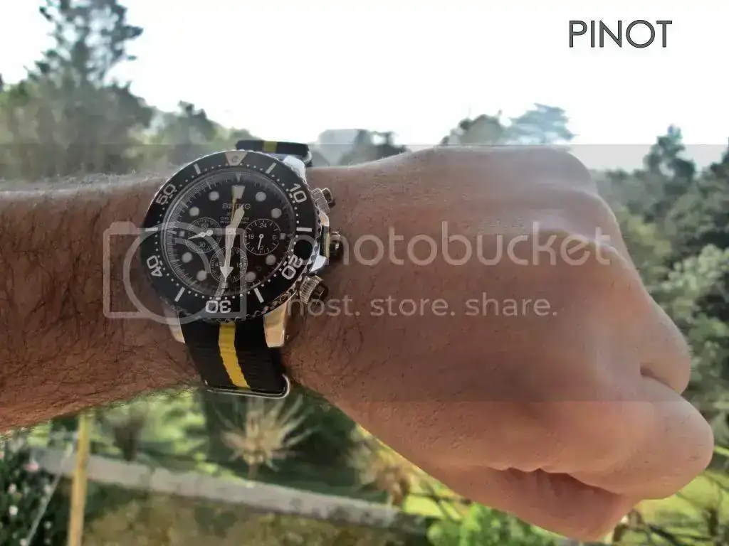 SeikoSolarDiverChrono-1_zps2fd00b63.webp