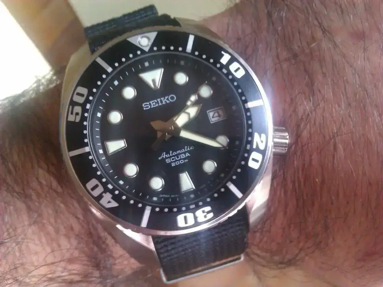 seikosumo.webp