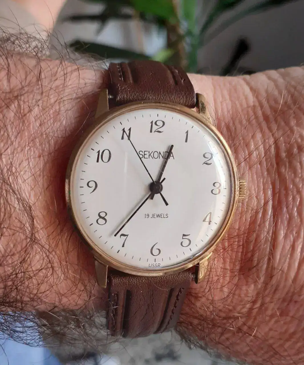 sekonda.webp