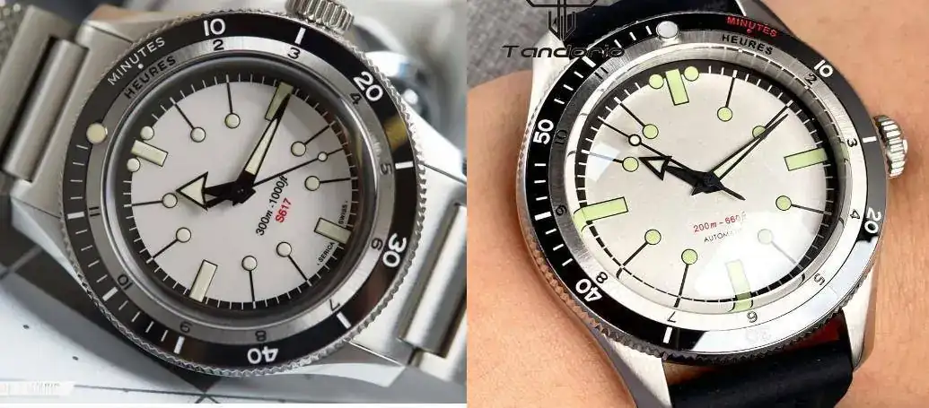 Serica-5303_023.webp
