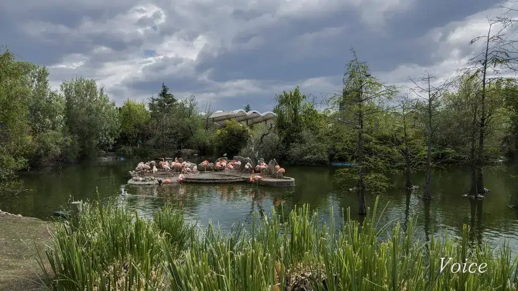 Serie Natura 2312.webp
