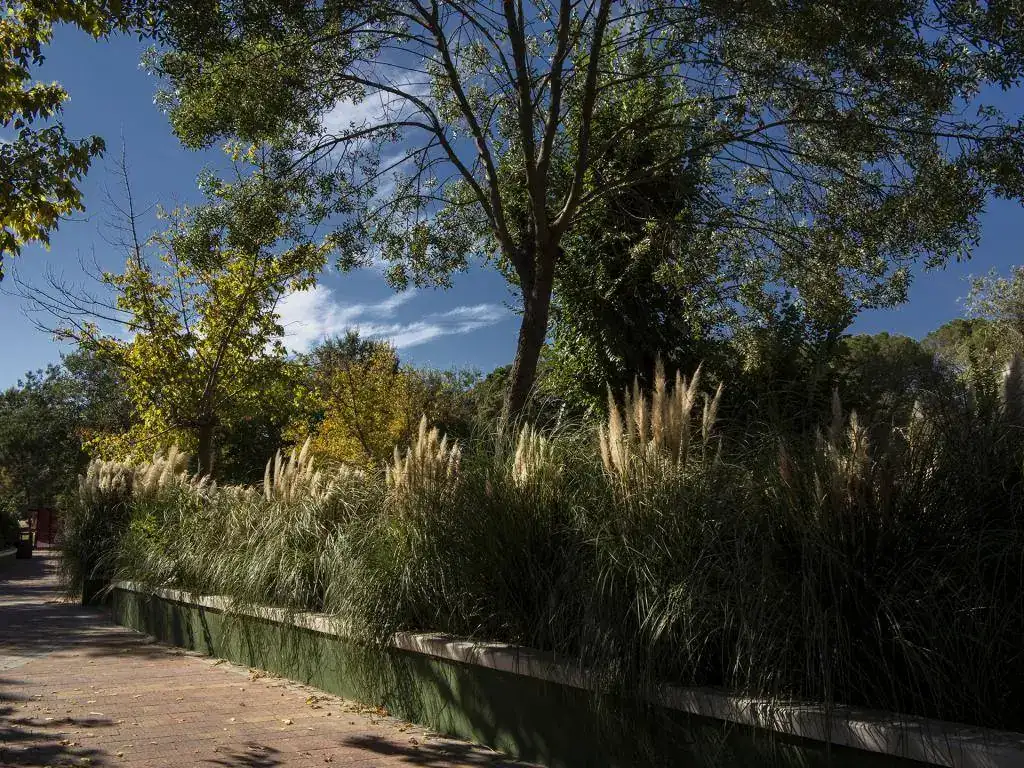 Serie Natura.webp