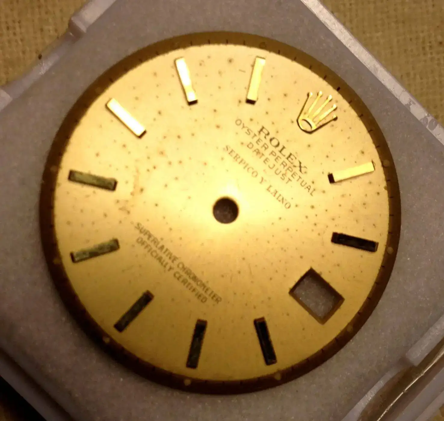 serpico+y+laino+logo+dial.webp