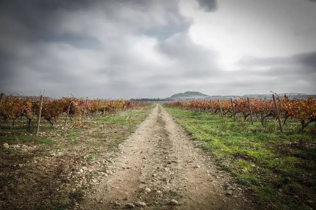 serres2015_26.webp
