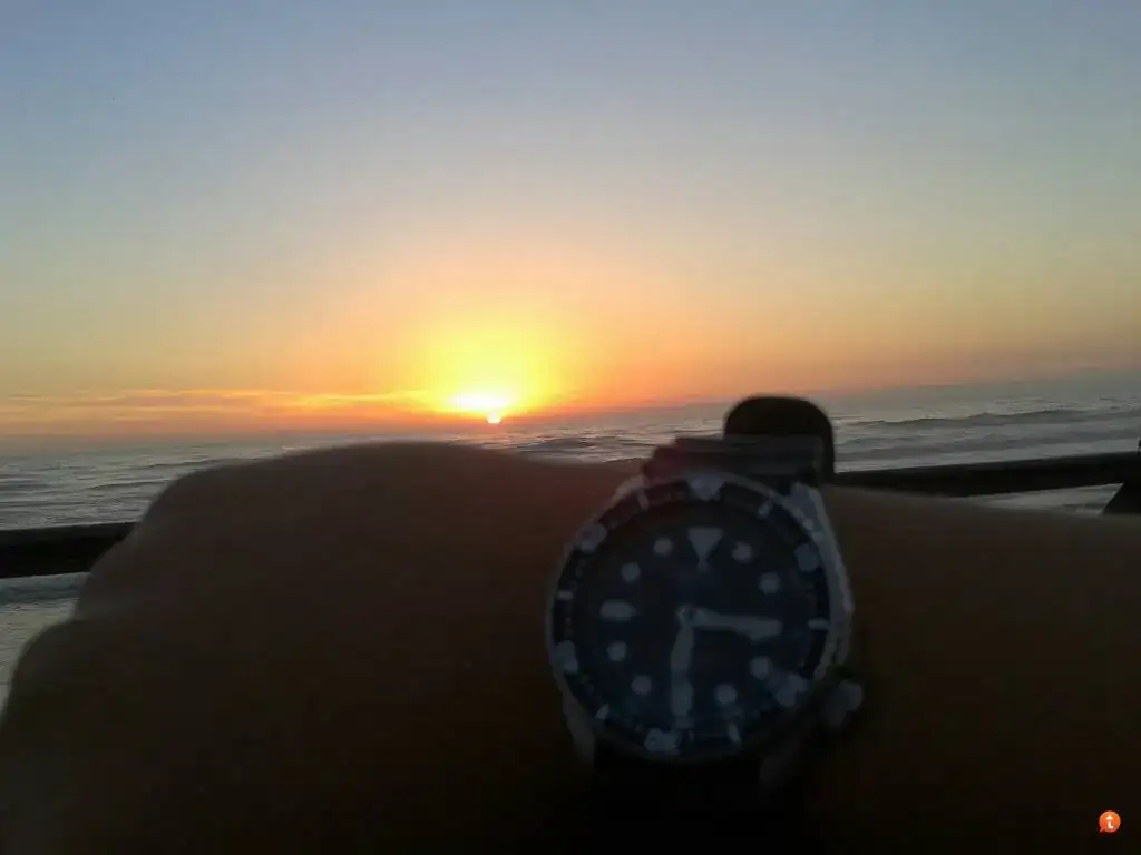 sesy7yry.webp
