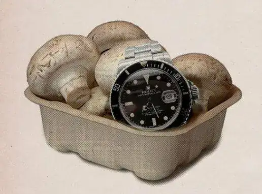 Setas-o-Rolex.webp