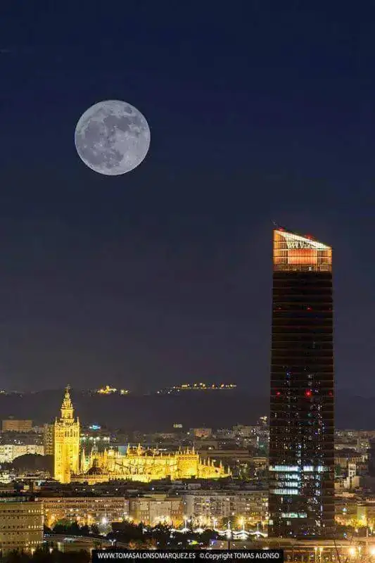 SEVILLA.webp