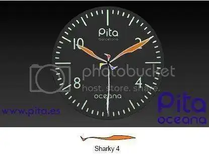 sharky4.webp