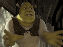 shrek-shrek-mad.gif