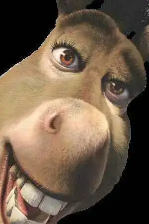 shrek_burro1.webp
