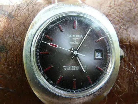 sicura c.webp