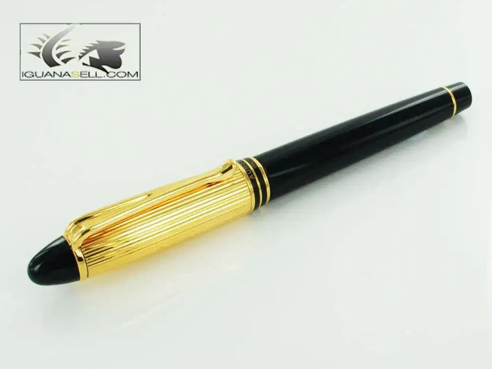 silon-Fountain-Pen-Resin-&-Gold-Plated-Cap-b11DM-2.webp