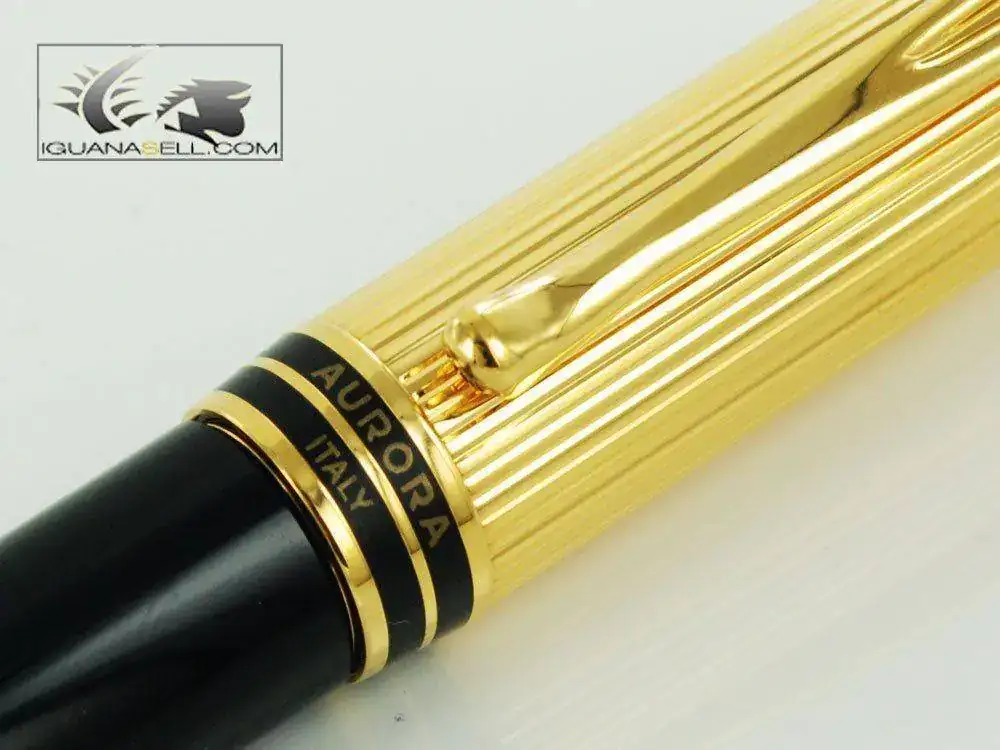 silon-Fountain-Pen-Resin-&-Gold-Plated-Cap-b11DM-3.webp