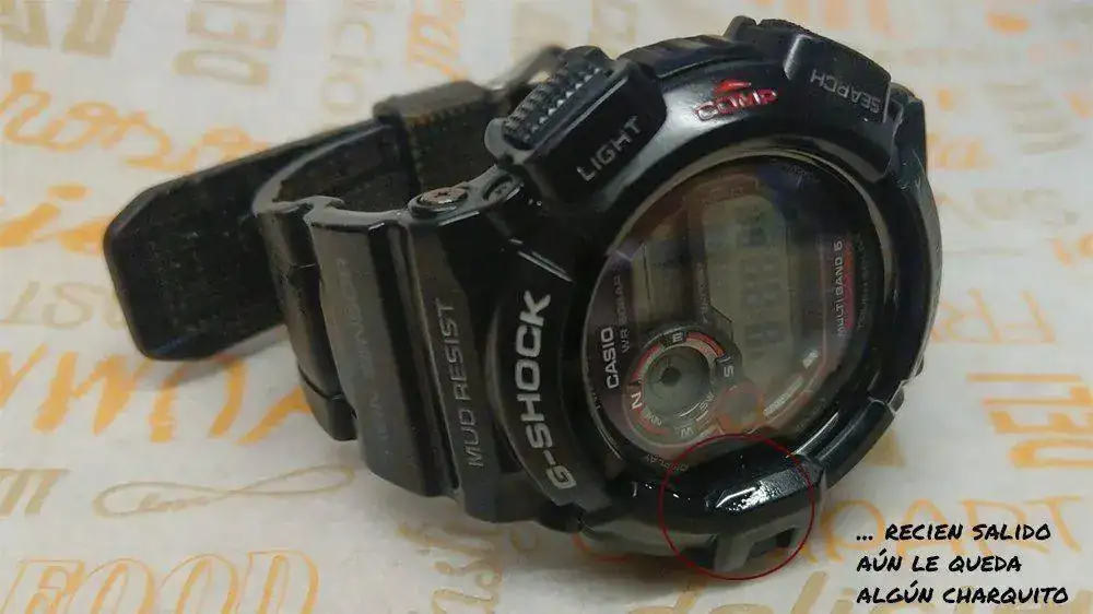 Sin gerfgsa (2)2bv.webp