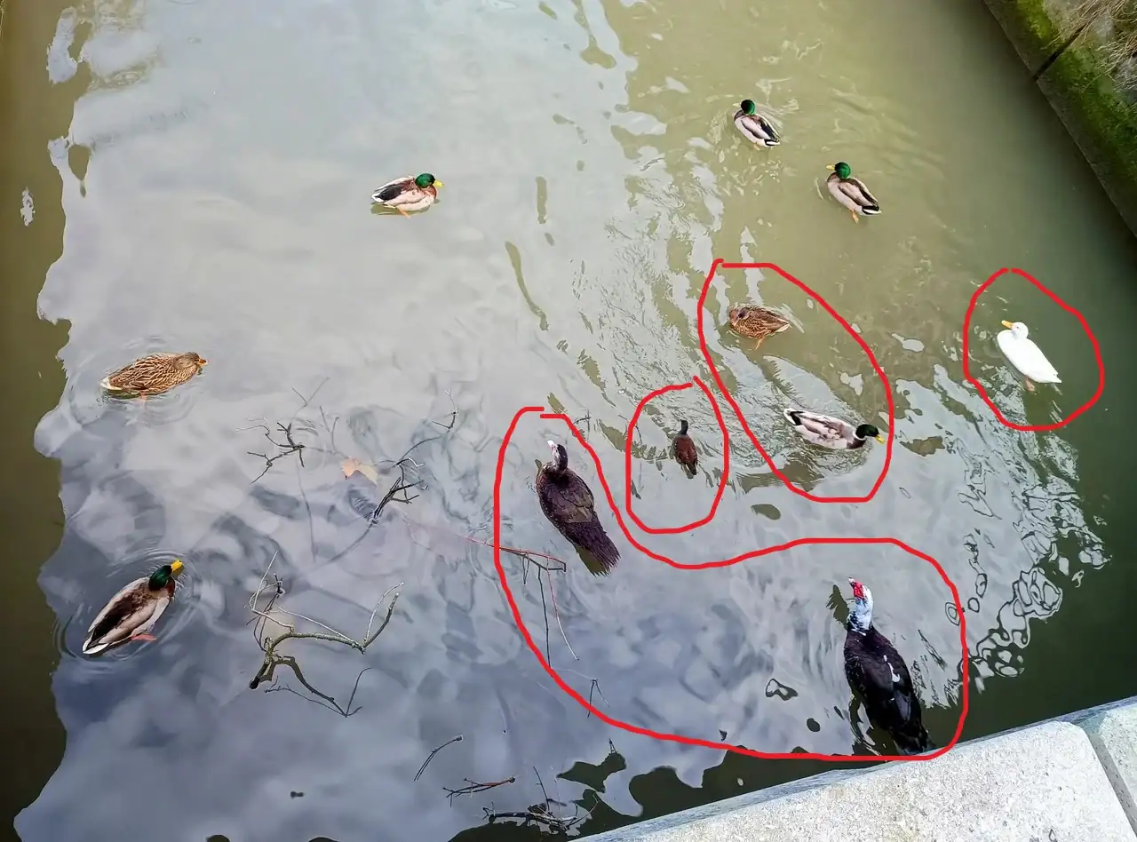 Sin título3.webp