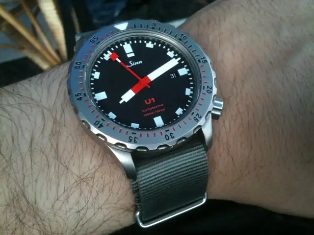 sinn111.webp