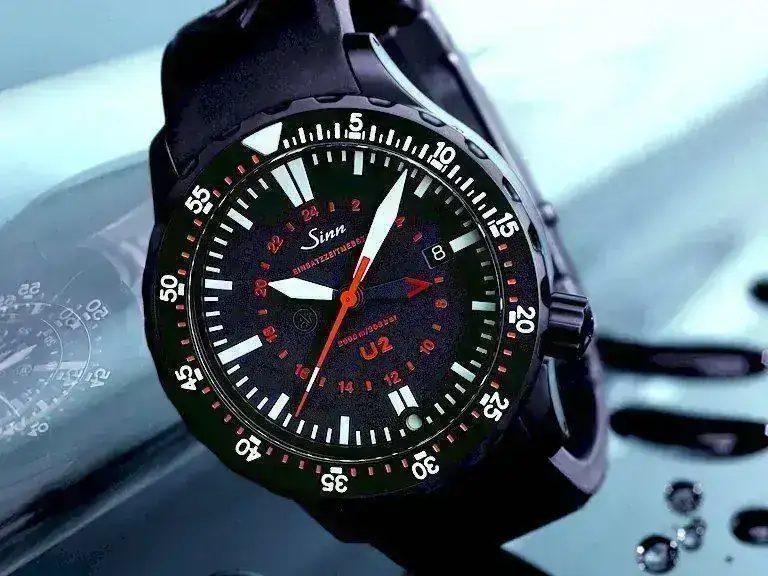 sinnu2black_1873_detail.webp