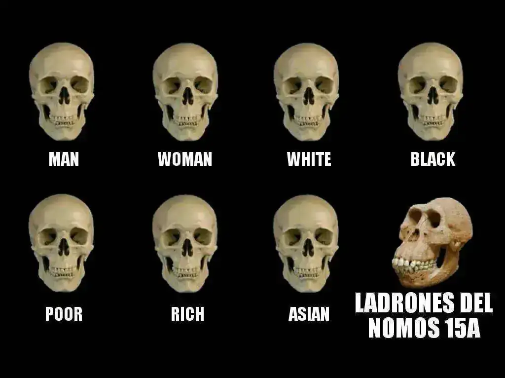 Skull Comparison 24072019195239.webp