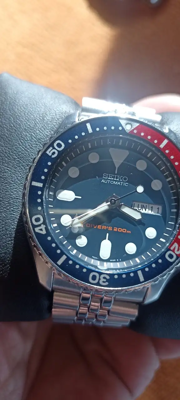 skx 1.webp